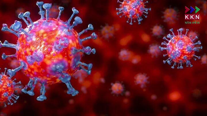 Japanese encephalitis is spreading in 22 districts of Madhya Pradesh