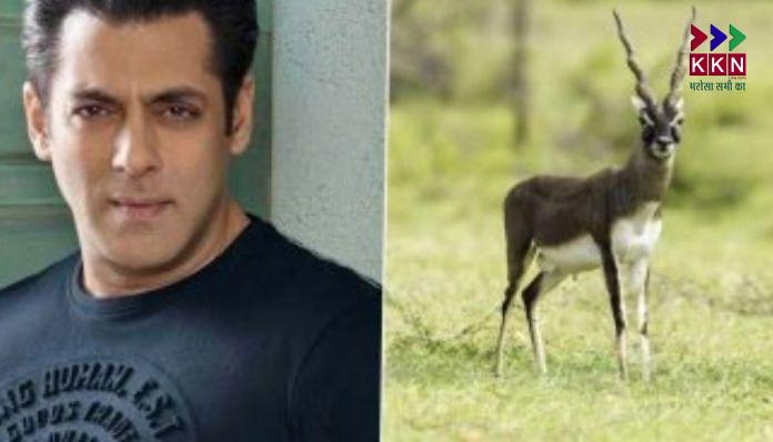 Black buck poaching case: Salman Khan's legal troubles increase,