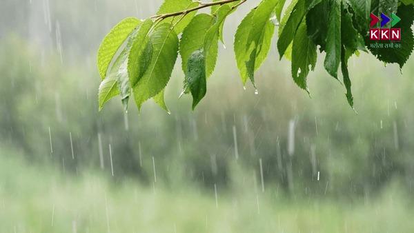 Bihar Weather Alert: IMD Issues Heavy Rainfall Warning for 7 Districts,