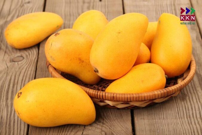 Patna to Host Two-Day Mango Festival with Exciting Competitions